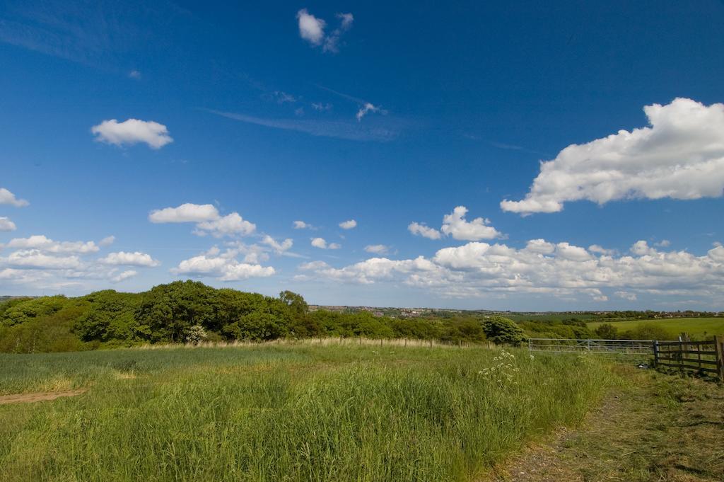 Riding Farm Bed and breakfast Gateshead