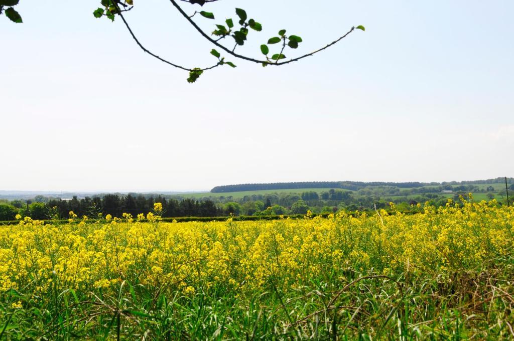 Riding Farm Bed and breakfast 4*