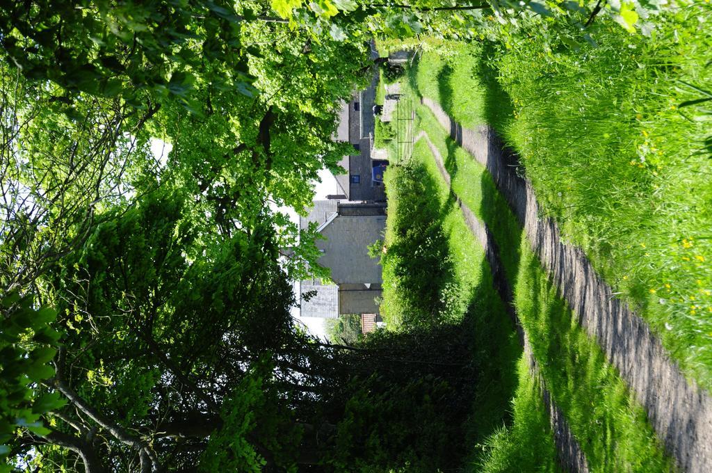 Riding Farm