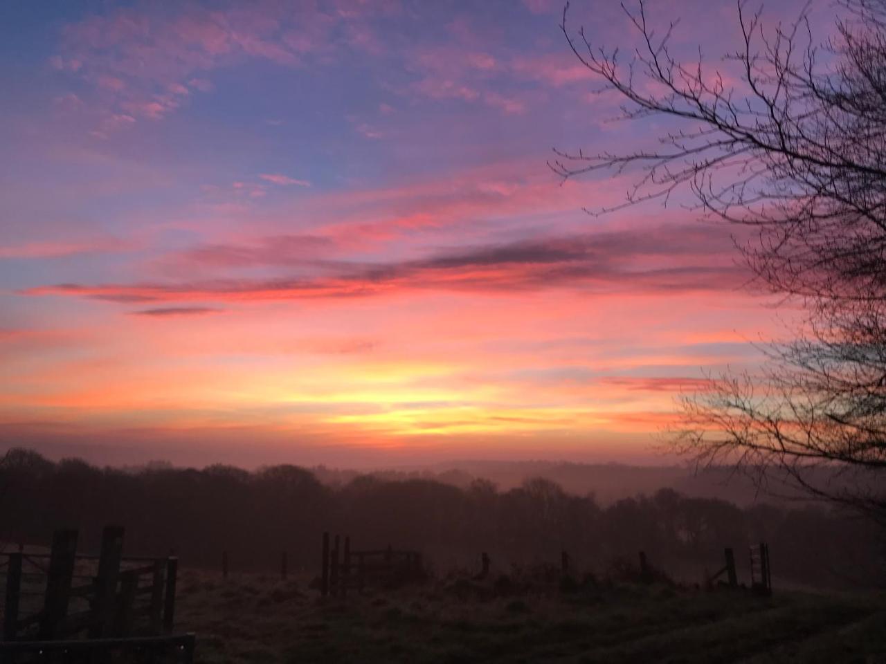 Bed and breakfast Riding Farm Gateshead