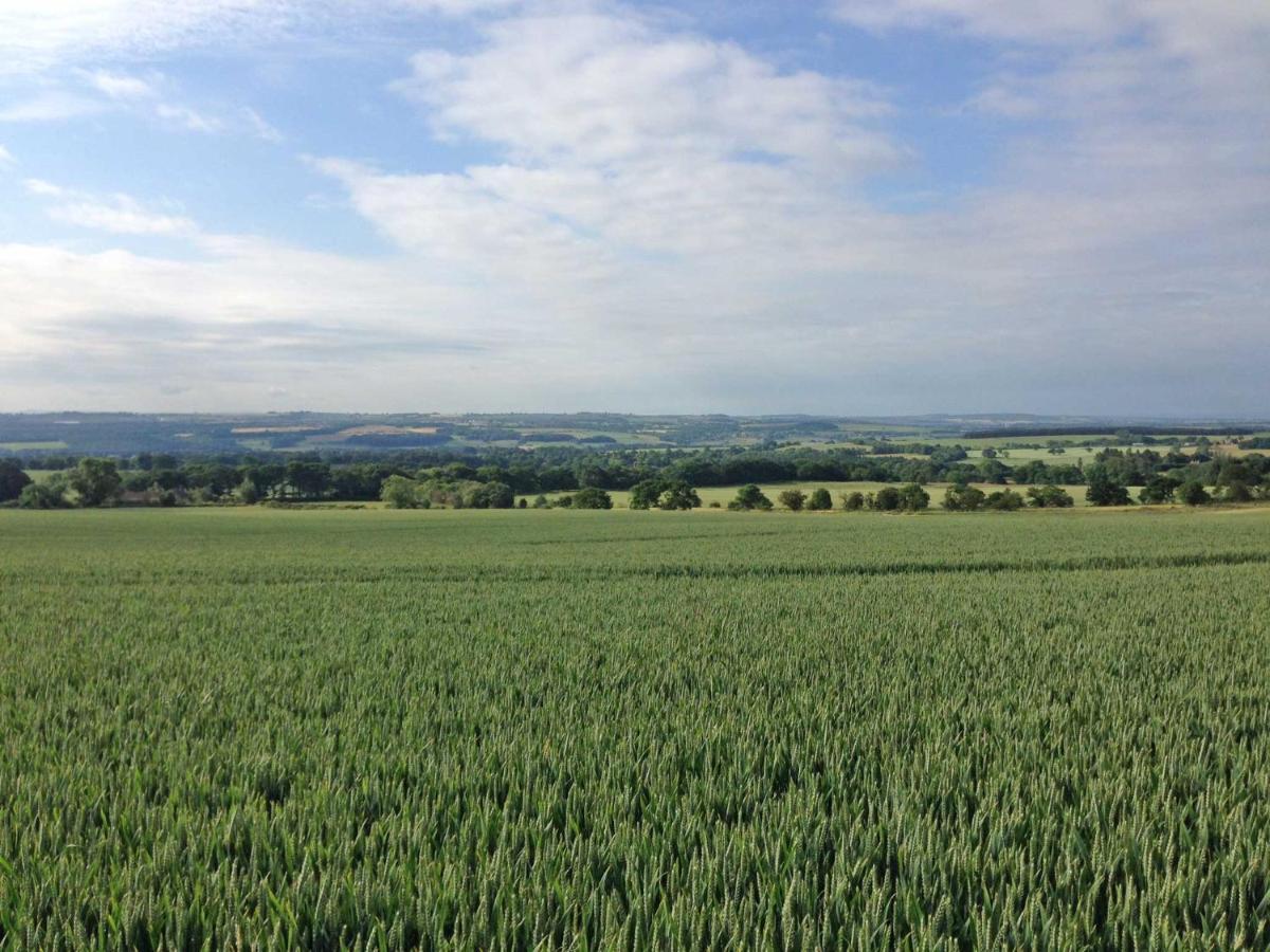 Riding Farm Bed and breakfast Gateshead