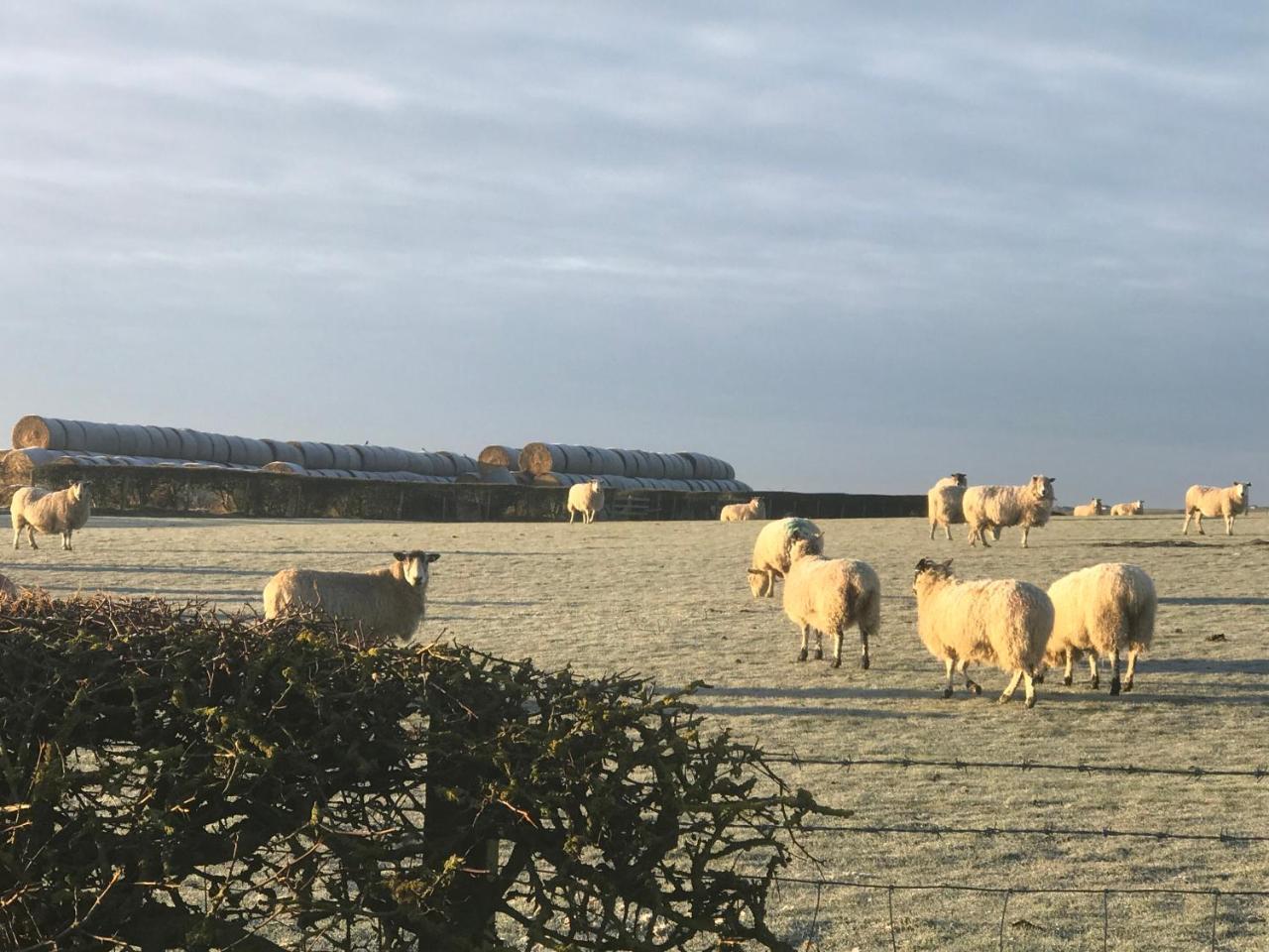 Bed & Breakfast Riding Farm 4*