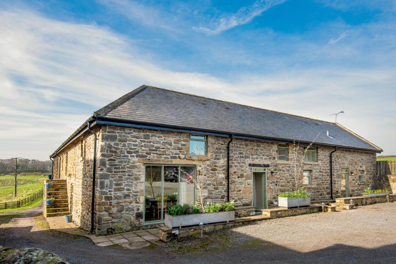 Bed & Breakfast Riding Farm